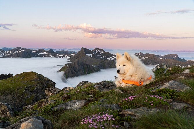 hiking-into-the-wilderness-of-the-lofoten-islands-norway
