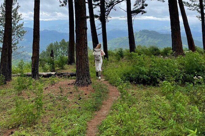 Hiking Knuckles Mountain Range from Kandy - The Sum Up