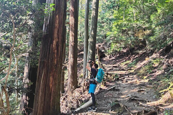 Hiking Kyoto's Highest Mountain: Unravel the Mystery of Mt. Atago - The Sum Up