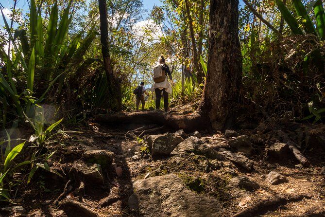 Hiking: La Chapelle, Cilaos. - Exploring La Chapelle, Cilaos: A Guided Trek into Réunion’s Geological Wonders