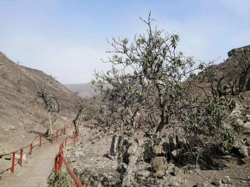 hiking-lomas-de-lachay-in-lima