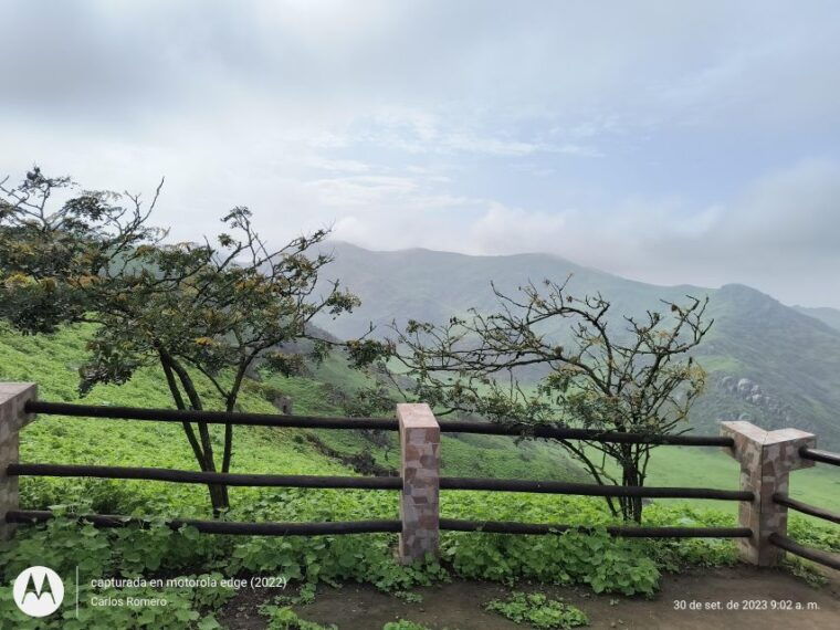 hiking-lomas-de-lachay-in-lima