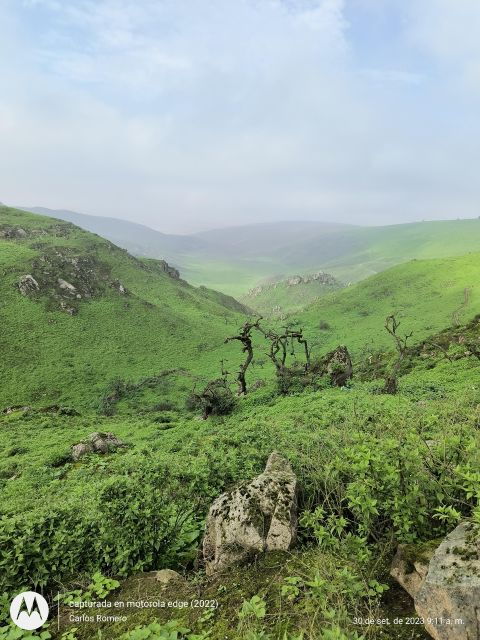 hiking-lomas-de-lachay-in-lima