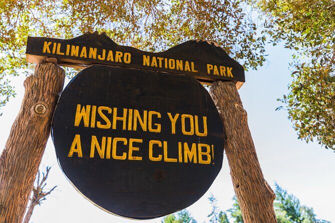 Hiking Mt Kilimanjaro 7 days scenic route & moderate challenge - Authentic Traveler Insights