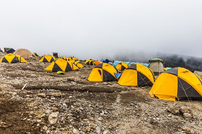 Hiking Mt Kilimanjaro 7 days scenic route & moderate challenge - FAQs