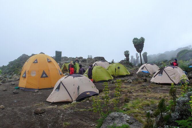 Hiking Mt Kilimanjaro 7 days scenic route & moderate challenge - Final Words