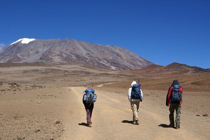 Hiking Mt Kilimanjaro 8 days, the most scenic route up Kili - How the itinerary unfolds