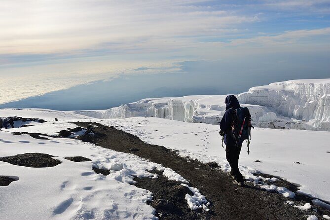 Hiking Mt Kilimanjaro 8 days, the most scenic route up Kili - Who is this Kilimanjaro tour best suited for?