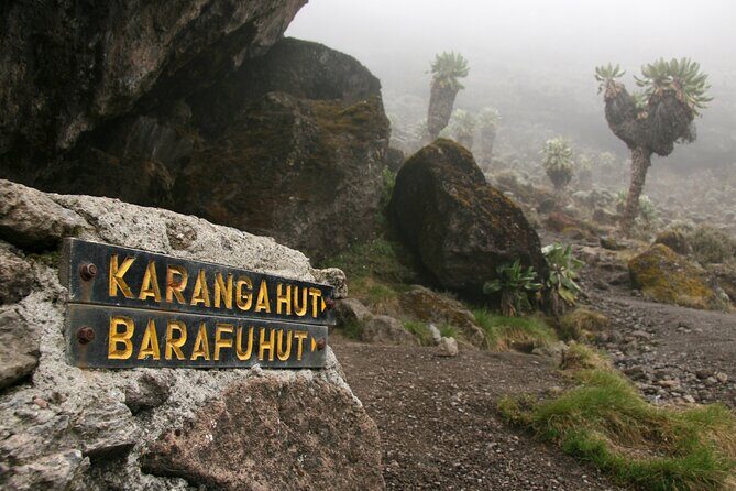 Hiking Mt Kilimanjaro 8 days, the most scenic route up Kili - FAQ