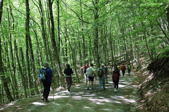 hiking-on-faito-mountain-from-sorrento