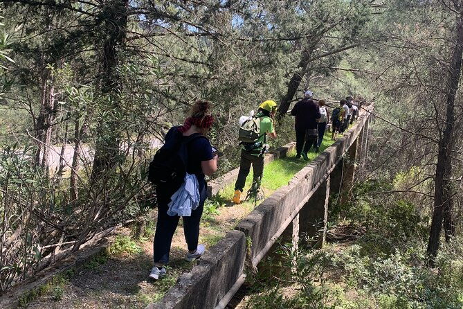 hiking-on-rhodes-countryside-discover-the-flora-fauna-history-tradition