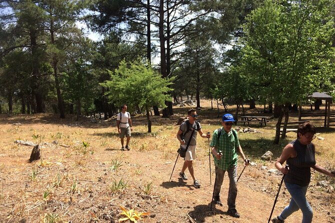 hiking-on-rhodes-countryside-discover-the-flora-fauna-history-tradition