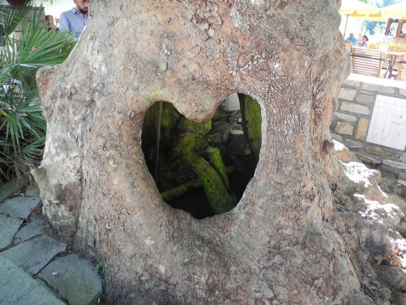 hiking-on-thasos-island