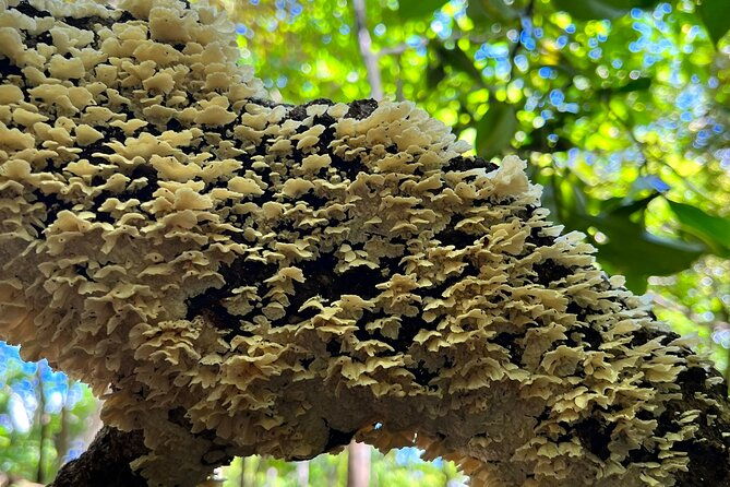 hiking-pax-2-persons-minimun