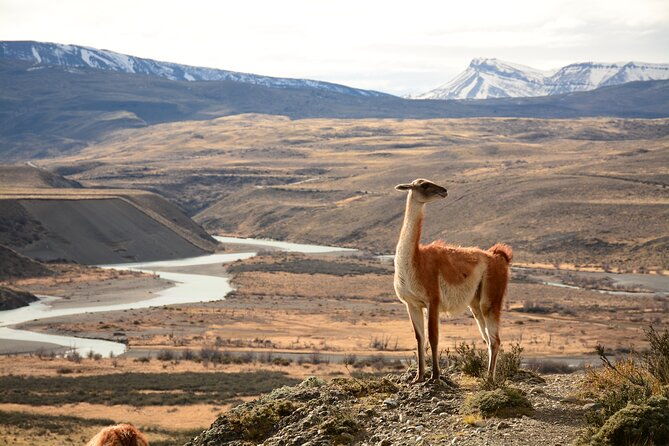 hiking-porteria-lago-sarmiento