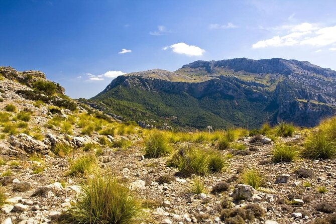 hiking-private-tour-in-pollensa