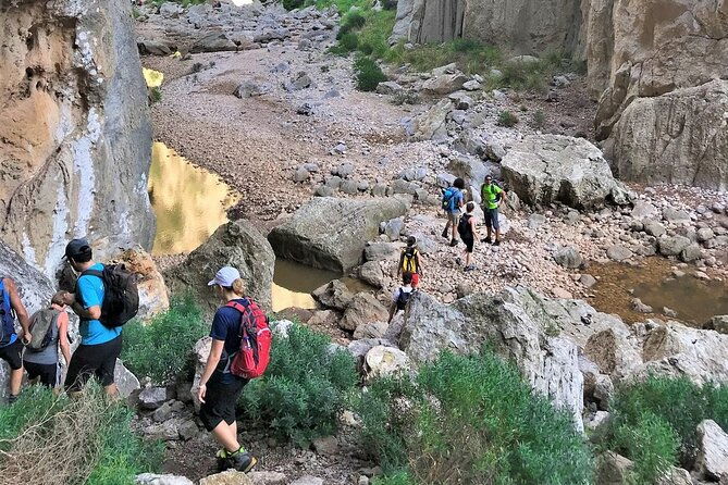 hiking-private-tour-in-pollensa