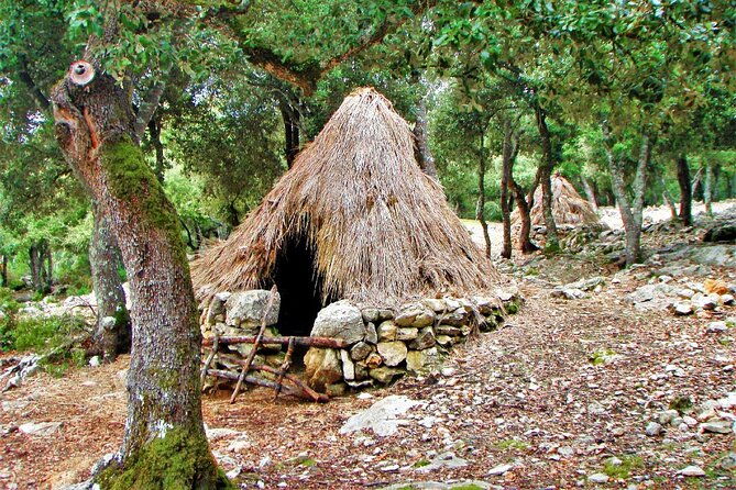 hiking-private-tour-in-pollensa