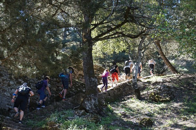 hiking-profitis-ilias-mountain-pick-up-service-available