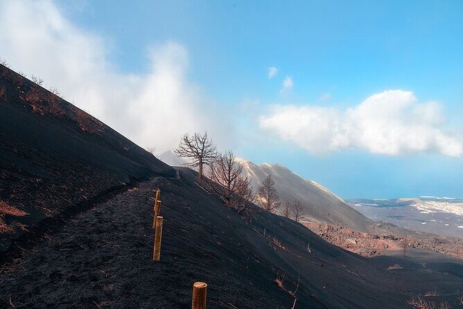 Hiking Route Visit to the New Volcano of La Palma - Authentic Experiences and Feedback from Past Travelers