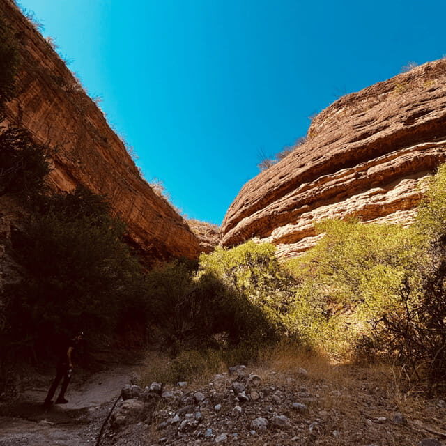 Hiking Ruta del Novillo: explore Sonora's natural surroundings. - What You Can Expect from the Tour