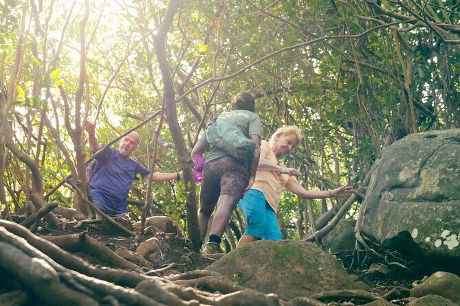 Hiking Sept Cascades (Tamarind Falls) - Half Day - Who Should Book This Tour?