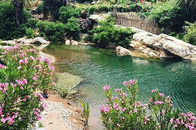 Hiking ,Swiming , and Lunch with Berber family in paradise valley - Key Points