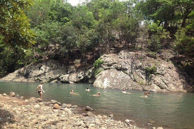Hiking the Black River Gorges: Full-day with Lunch and Transfer - Who Should Consider This Tour?