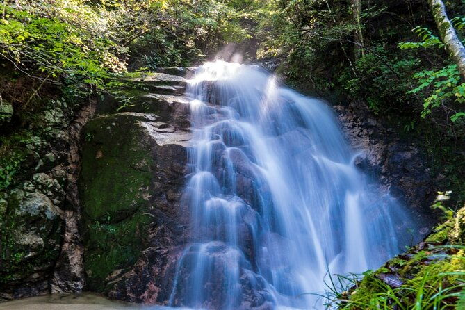 hiking-the-historic-nakasendo-trail-1-day-tour-from-nagoya