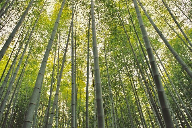 hiking-the-historic-nakasendo-trail-1-day-tour-from-nagoya