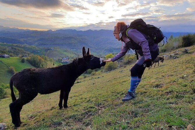 hiking-thought-the-best-mountain-villages-in-romania-private-tour-from-brasov