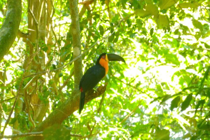 hiking-to-christ-the-redeemer-a-journey-to-rios-iconic-landmark