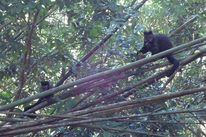 hiking-to-christ-the-redeemer-a-journey-to-rios-iconic-landmark