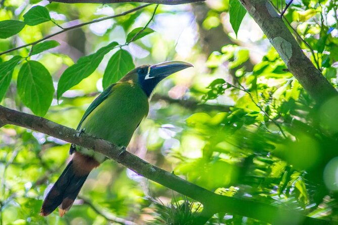 hiking-to-curi-cancha-reserve