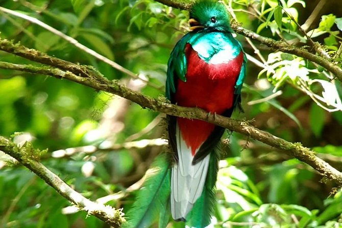 hiking-to-curi-cancha-reserve