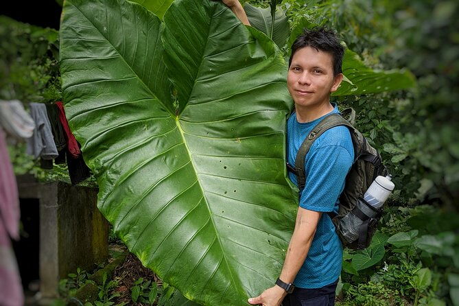 hiking-to-minca