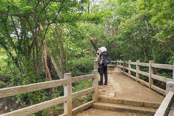 hiking-to-the-rincon-de-la-vieja-volcano-national-park-private-tour