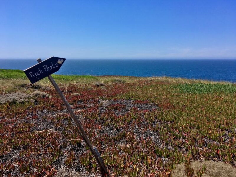 hiking-tour-along-the-west-coastline