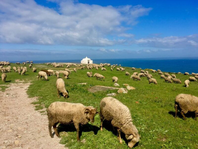hiking-tour-along-the-west-coastline