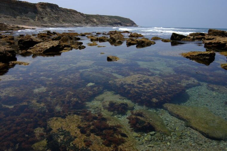 hiking-tour-along-the-west-coastline