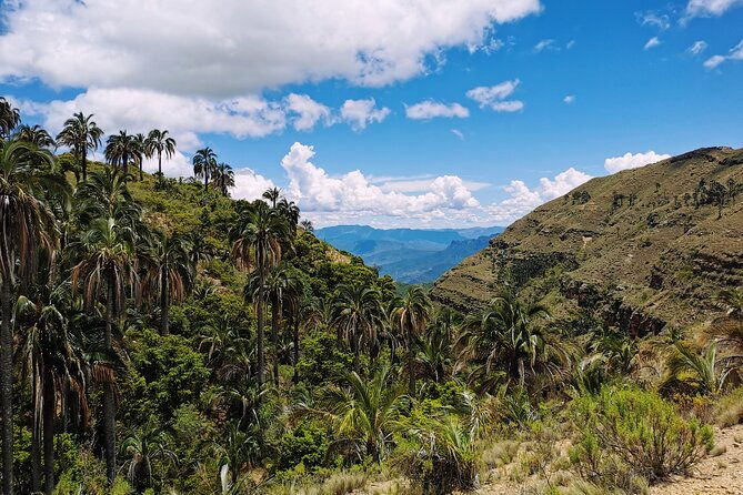 hiking-tour-in-el-palmar-from-sucre-bolivia