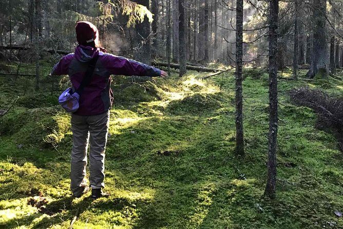 Hiking tour in Nuuksio National Park with meal and snacks - Discover the Natural Beauty of Nuuksio National Park on a Guided Hike