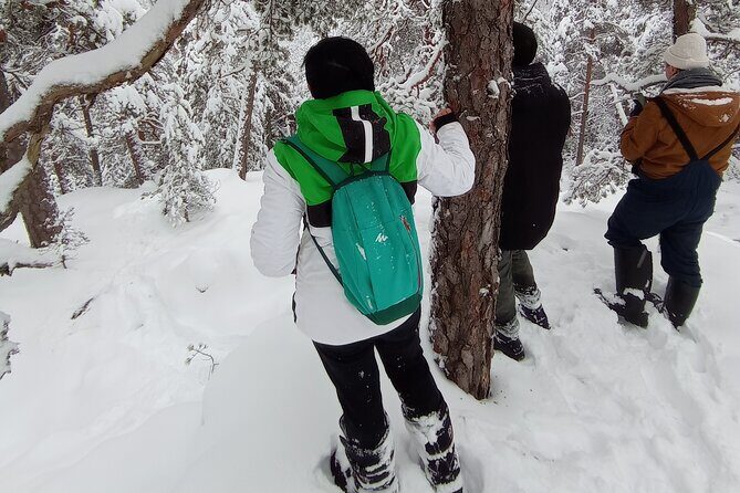 Hiking tour in Nuuksio National Park with meal and snacks - Who Will Love This Experience?