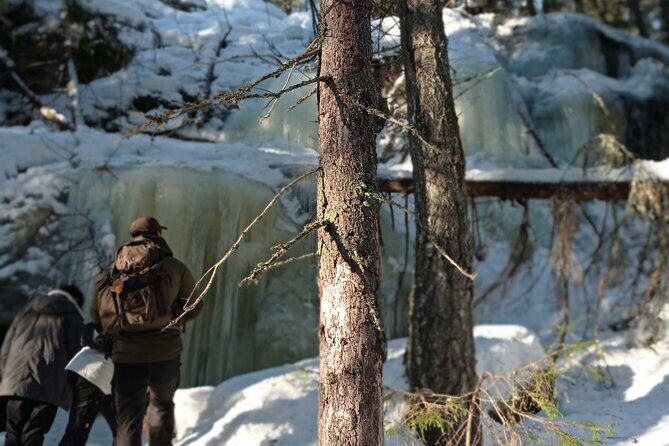 Hiking tour in Nuuksio National Park with meal and snacks - Practical Tips for a Smooth Experience