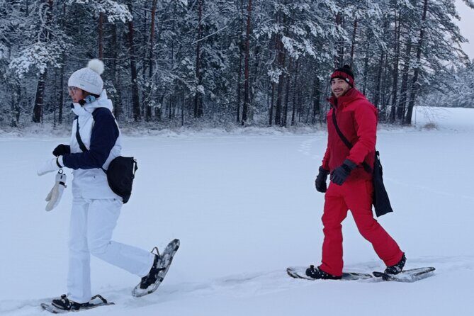 Hiking tour in Nuuksio National Park with meal and snacks - The Sum Up