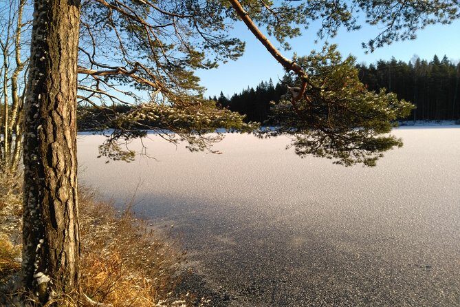 Hiking tour in Nuuksio National Park with meal and snacks - FAQ