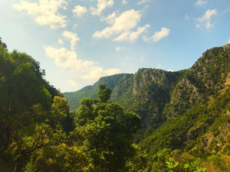hiking-tour-in-souli-plateau-kougi-and-skala-tzavelena