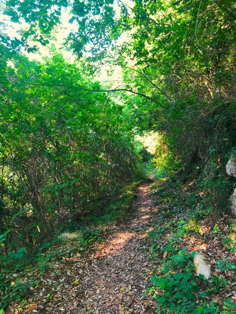 hiking-tour-in-souli-plateau-kougi-and-skala-tzavelena