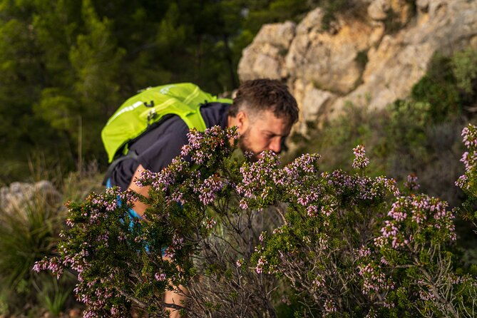 hiking-tour-into-the-sunset-port-andratx-to-sant-elm