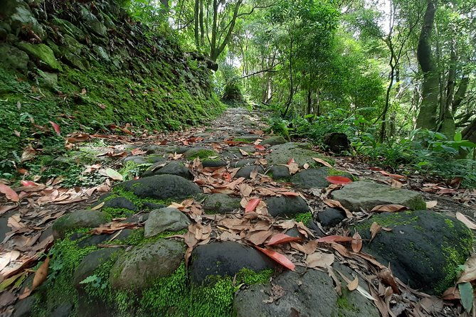 hiking-tour-sanguinho-salto-do-prego-waterfall-and-furnas
